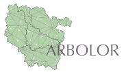 Arbolorred.png